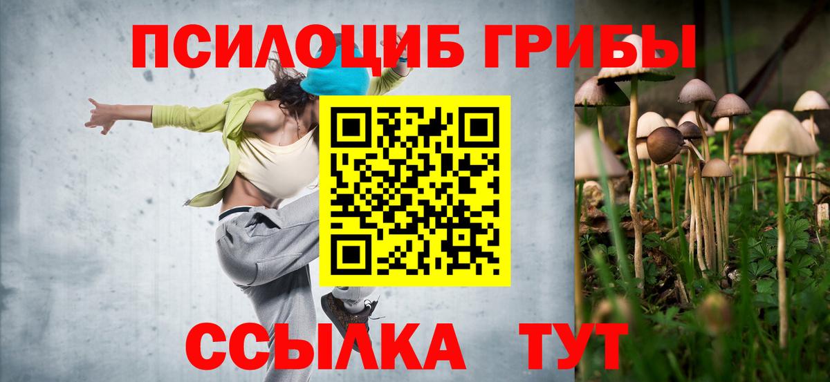 Галлюциногенные грибы мухоморы Новосибирск