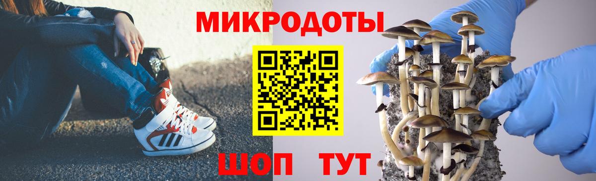 Новосибирск  Галлюциногенные грибы мухоморы  Галлюциногенные грибы GOLDEN TEACHER  Вход с VPN 